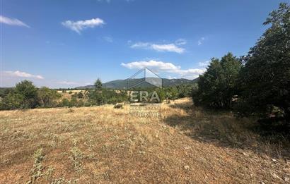 KONYA BEYŞEHİR ÜZÜMLÜ MAHALLESİ SATILIK TEK TAPU TARLA
