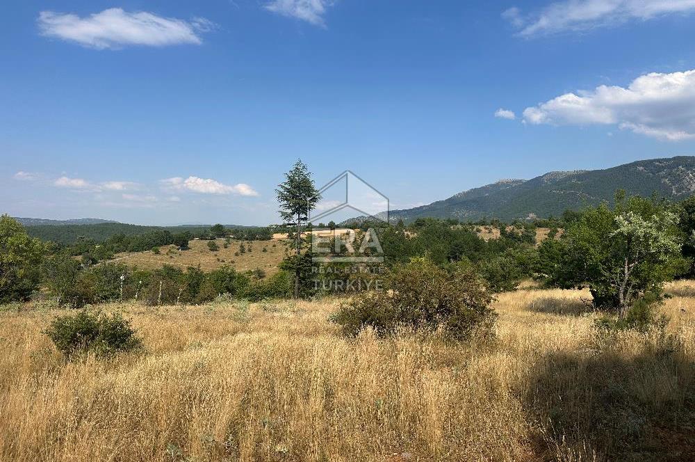KONYA BEYŞEHİR ÜZÜMLÜ MAHALLESİ SATILIK TEK TAPU TARLA