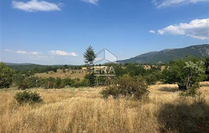 KONYA BEYŞEHİR ÜZÜMLÜ MAHALLESİ SATILIK TEK TAPU TARLA