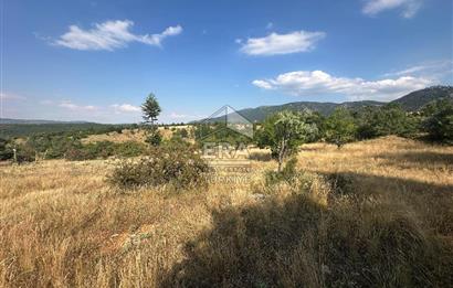 KONYA BEYŞEHİR ÜZÜMLÜ MAHALLESİ SATILIK TEK TAPU TARLA