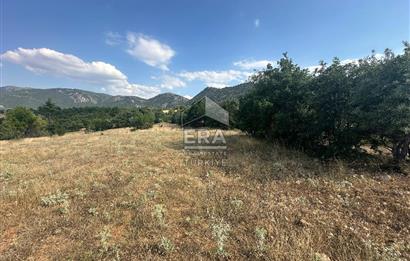KONYA BEYŞEHİR ÜZÜMLÜ MAHALLESİ SATILIK TEK TAPU TARLA