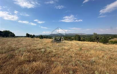 KONYA BEYŞEHİR ÜZÜMLÜ MAHALLESİ SATILIK TEK TAPU TARLA