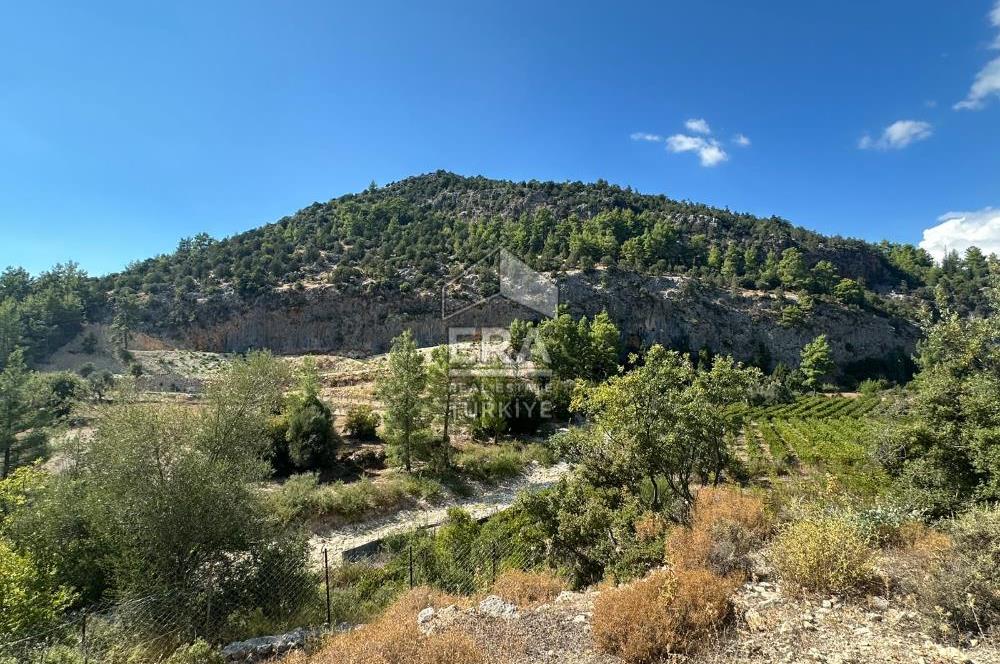 ANTALYA MANAVGAT AHMETLER MAHALLESİ SATILIK TEK TAPU TARLA