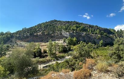 ANTALYA MANAVGAT AHMETLER MAHALLESİ SATILIK TEK TAPU TARLA