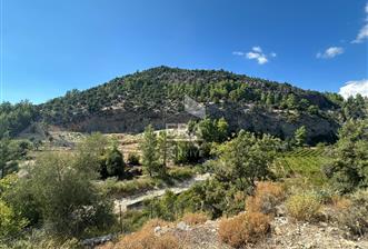 ANTALYA MANAVGAT AHMETLER MAHALLESİ SATILIK TEK TAPU TARLA - 8 - 15664