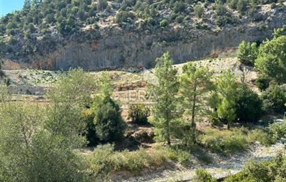 ANTALYA MANAVGAT AHMETLER MAHALLESİ SATILIK TEK TAPU TARLA