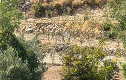 ANTALYA MANAVGAT AHMETLER MAHALLESİ SATILIK TEK TAPU TARLA