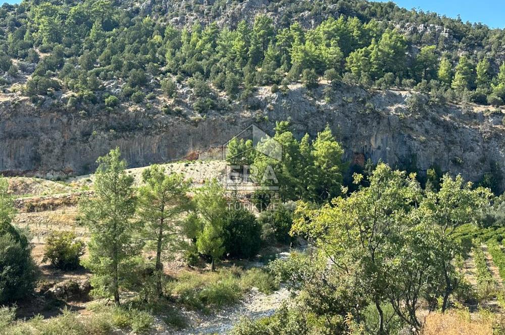 ANTALYA MANAVGAT AHMETLER MAHALLESİ SATILIK TEK TAPU TARLA