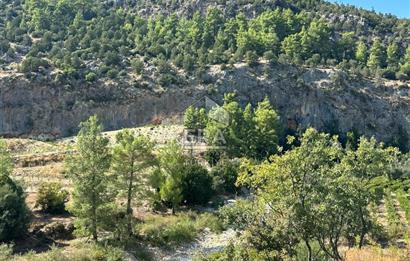 ANTALYA MANAVGAT AHMETLER MAHALLESİ SATILIK TEK TAPU TARLA