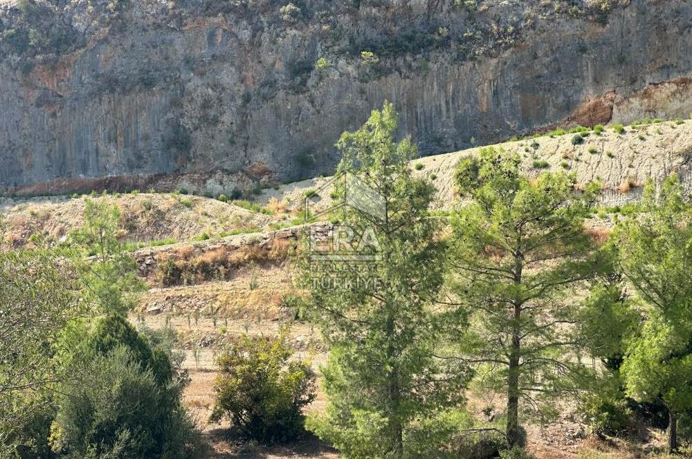 ANTALYA MANAVGAT AHMETLER MAHALLESİ SATILIK TEK TAPU TARLA