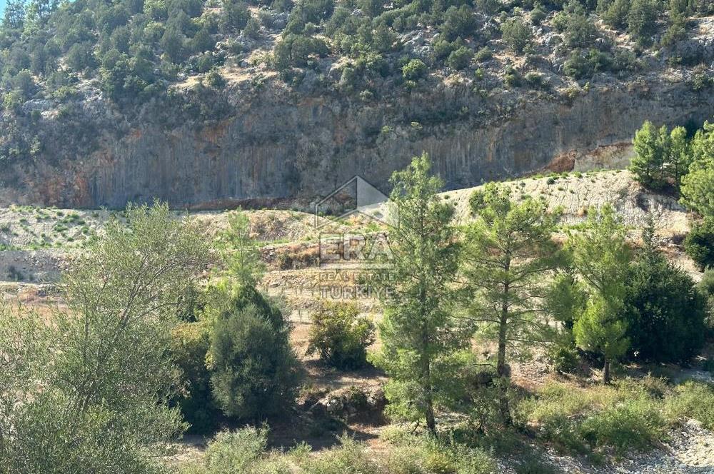 ANTALYA MANAVGAT AHMETLER MAHALLESİ SATILIK TEK TAPU TARLA