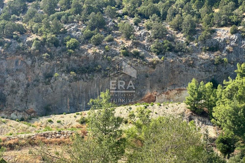 ANTALYA MANAVGAT AHMETLER MAHALLESİ SATILIK TEK TAPU TARLA