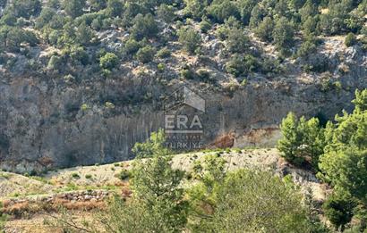 ANTALYA MANAVGAT AHMETLER MAHALLESİ SATILIK TEK TAPU TARLA