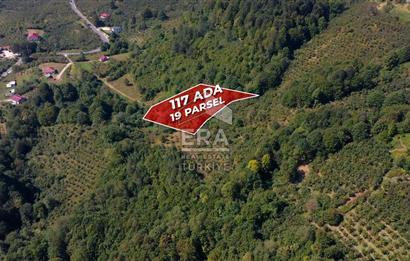 SAKARYA HENDEK KARADERE'DE SATILIK YATIRIMLIK FINDIKLIK