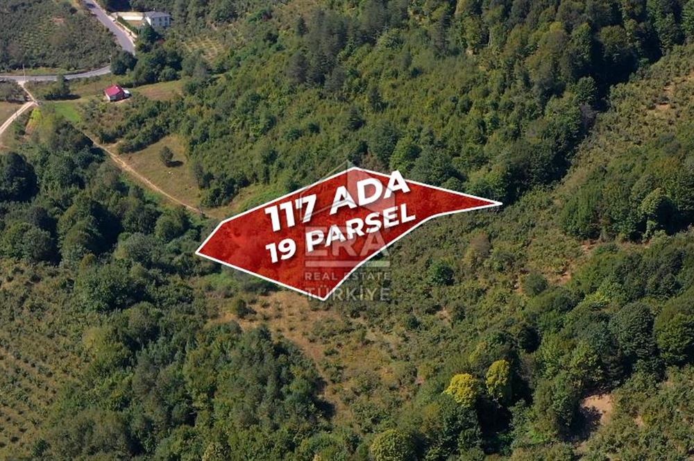 SAKARYA HENDEK KARADERE'DE SATILIK YATIRIMLIK FINDIKLIK