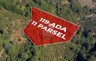 SAKARYA HENDEK KARADERE'DE SATILIK YATIRIMLIK FINDIKLIK