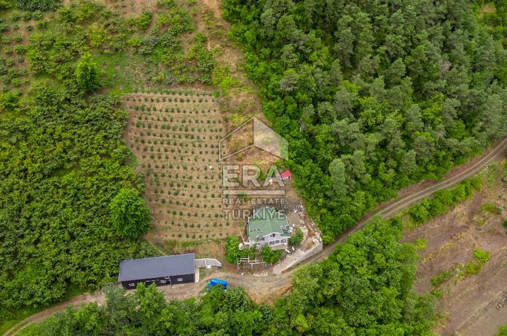 ERA'DAN AKÇAABAT ZAFERLİ'DE SATILIK ARSA VE MÜSTAKİL EV