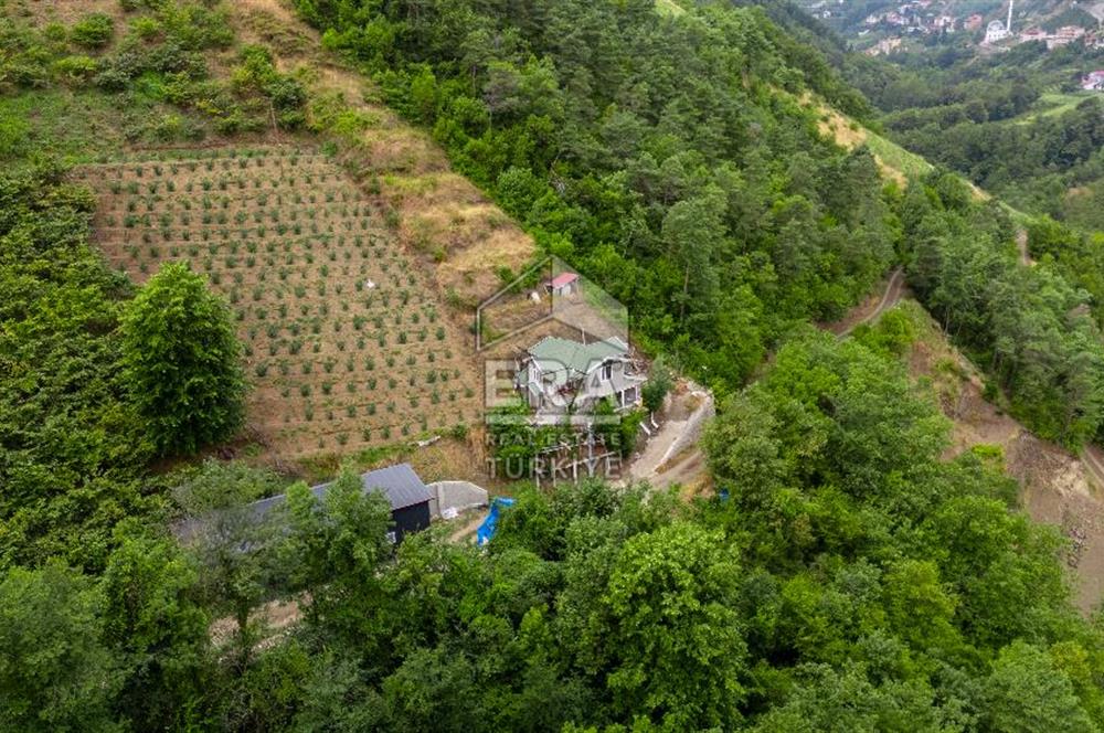 ERA'DAN AKÇAABAT ZAFERLİ'DE SATILIK ARSA VE MÜSTAKİL EV