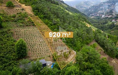 ERA'DAN AKÇAABAT ZAFERLİ'DE SATILIK ARSA VE MÜSTAKİL EV