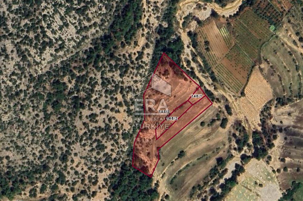 ANTALYA MANAVGAT AHMETLER MAHALLESİ SATILIK TEK TAPU TARLA