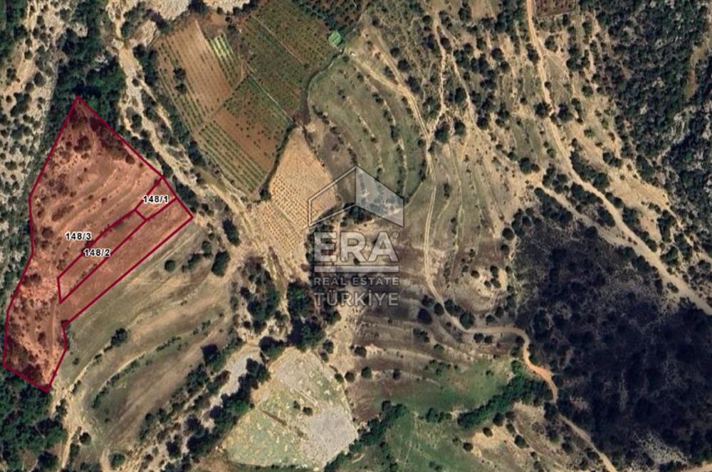 ANTALYA MANAVGAT AHMETLER MAHALLESİ SATILIK TEK TAPU TARLA
