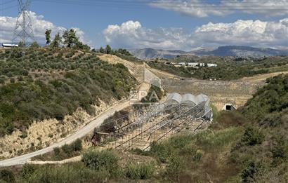 Antalya Manavgat aşağı ışıklar Mahallesi’nde satılık tarla