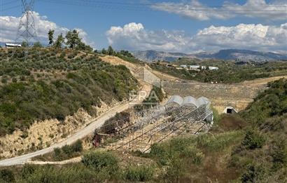 Antalya Manavgat aşağı ışıklar Mahallesi’nde satılık tarla