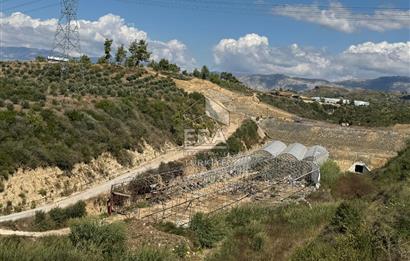 Antalya Manavgat aşağı ışıklar Mahallesi’nde satılık tarla
