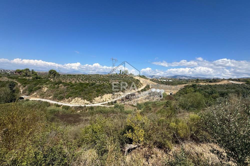 Antalya Manavgat aşağı ışıklar Mahallesi’nde satılık tarla