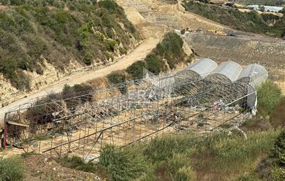 Antalya Manavgat aşağı ışıklar Mahallesi’nde satılık tarla