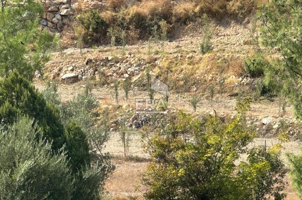 ANTALYA MANAVGAT AHMETLER MAHALLESİ SATILIK TEK TAPU TARLA