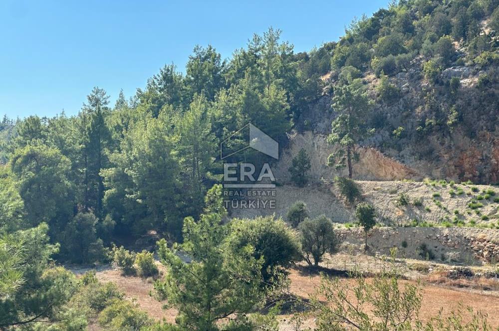 ANTALYA MANAVGAT AHMETLER MAHALLESİ SATILIK TEK TAPU TARLA