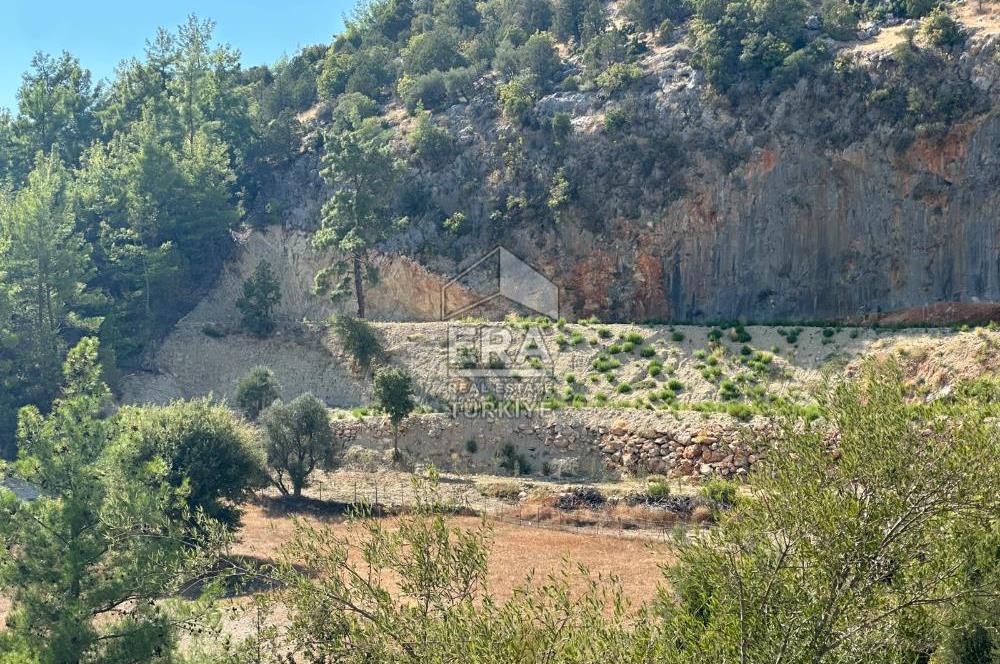 ANTALYA MANAVGAT AHMETLER MAHALLESİ SATILIK TEK TAPU TARLA