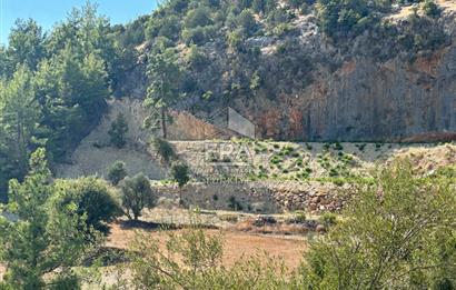 ANTALYA MANAVGAT AHMETLER MAHALLESİ SATILIK TEK TAPU TARLA