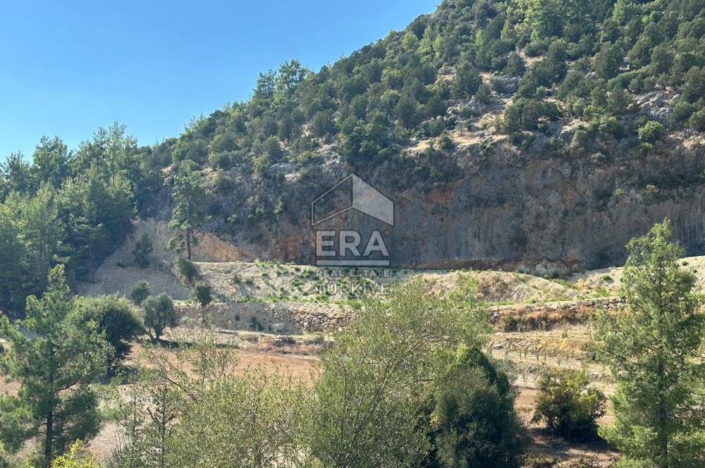 ANTALYA MANAVGAT AHMETLER MAHALLESİ SATILIK TEK TAPU TARLA