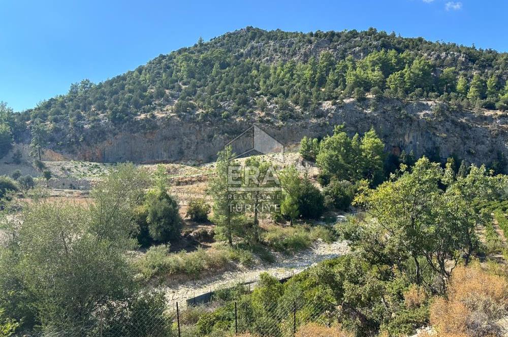 ANTALYA MANAVGAT AHMETLER MAHALLESİ SATILIK TEK TAPU TARLA