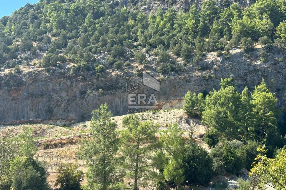 ANTALYA MANAVGAT AHMETLER MAHALLESİ SATILIK TEK TAPU TARLA