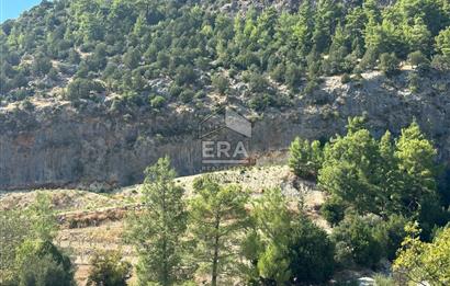 ANTALYA MANAVGAT AHMETLER MAHALLESİ SATILIK TEK TAPU TARLA