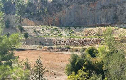 ANTALYA MANAVGAT AHMETLER MAHALLESİ SATILIK TEK TAPU TARLA