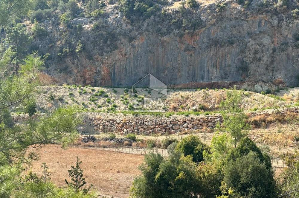 ANTALYA MANAVGAT AHMETLER MAHALLESİ SATILIK TEK TAPU TARLA