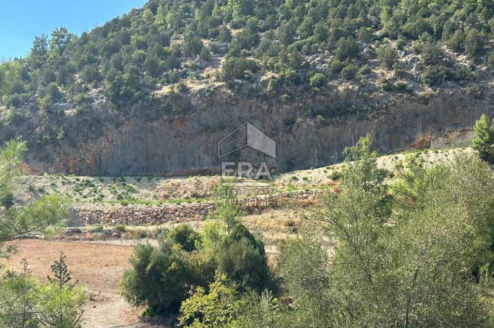 ANTALYA MANAVGAT AHMETLER MAHALLESİ SATILIK TEK TAPU TARLA