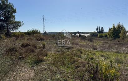 ANTALYA MANAVGAT SARILAR MAHALLESİ SATILIK ARSA