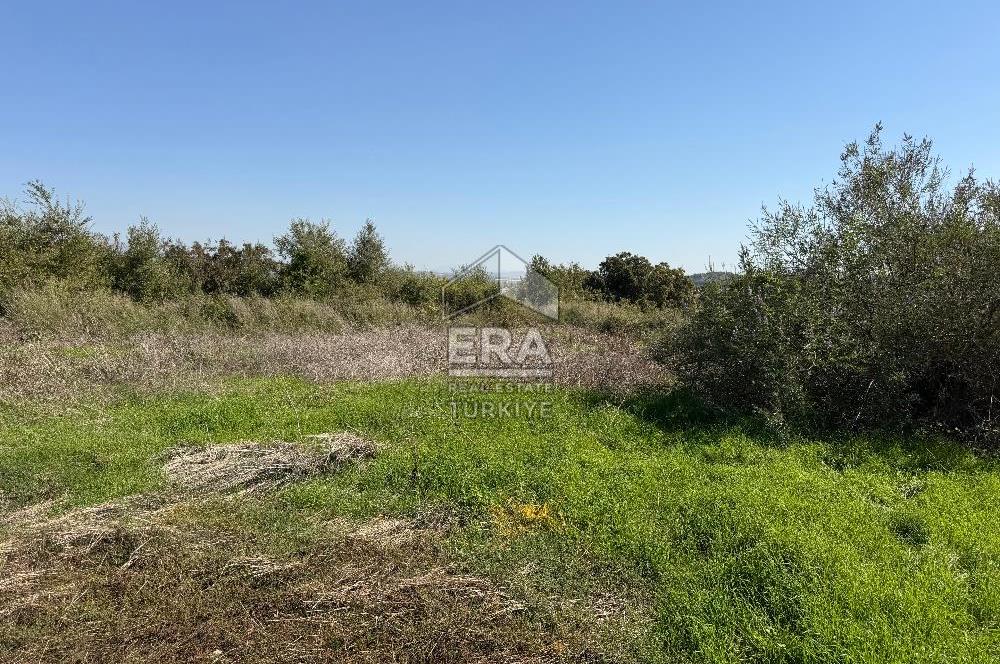 ANTALYA MANAVGAT SARILAR MAHALLESİ KAT KARŞILIĞI ARSA