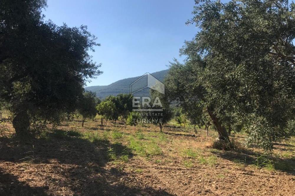 ERA NİVA'DAN TORBALI ÇAKIRBEYLİ'DE SATILIK 3365m² ARSA VE EVİ