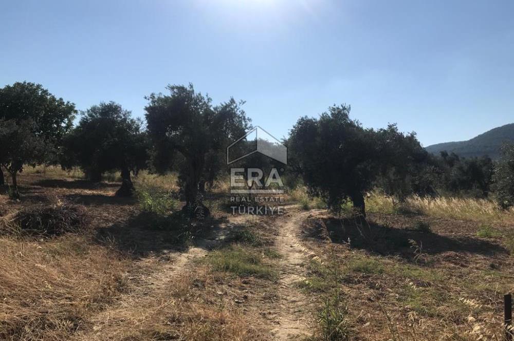 ERA NİVA'DAN TORBALI ÇAKIRBEYLİ'DE SATILIK 3365m² ARSA VE EVİ