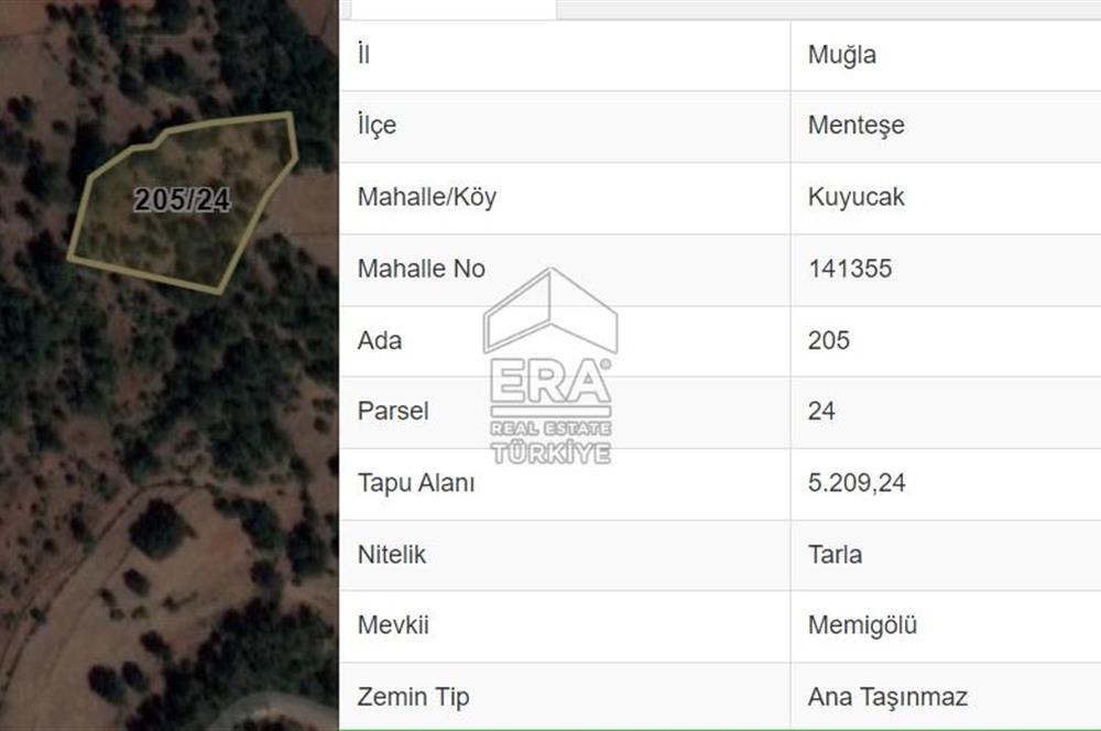 Muğla Kuyucak'ta Yolu Olan Tek Tapu 5210 m2 Satılık Tarla