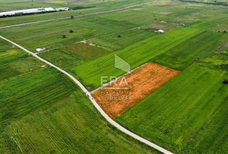 Işıklar Mah. Ana Yola 2 km Uzaklıkta 5.575m² Hobi Bahçesi
